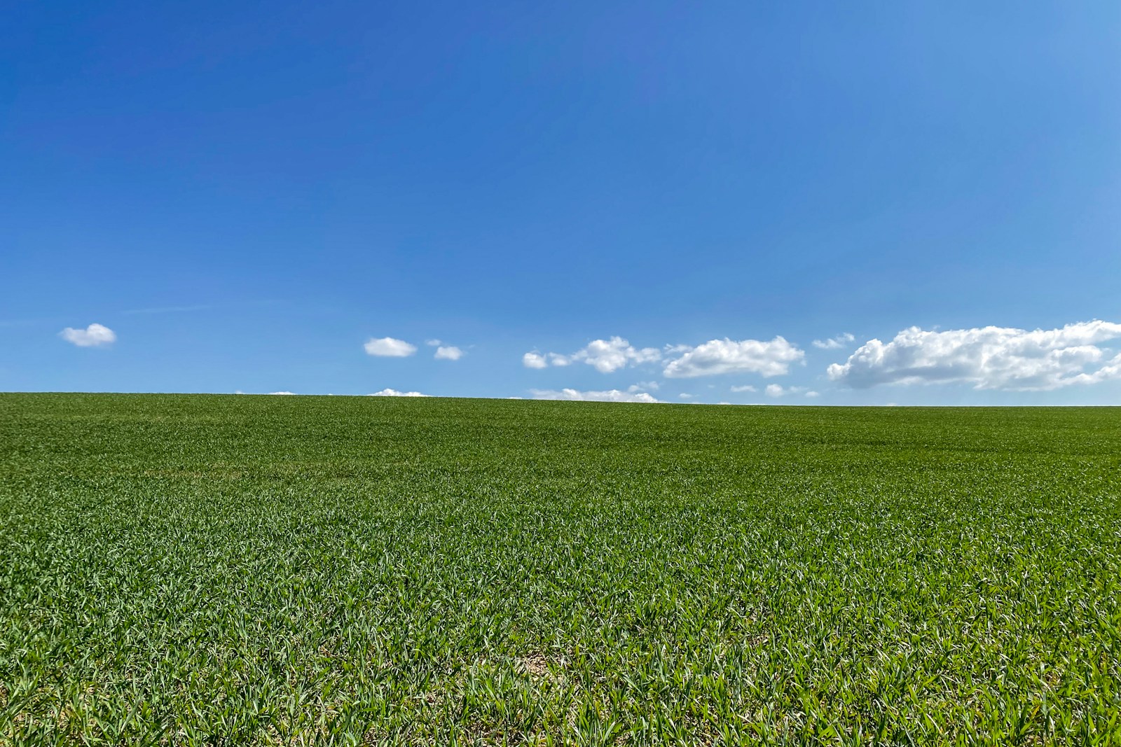 Sample plot / land in Ananthagiri
